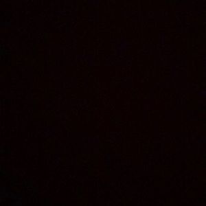 Meet your Posher, Leeza